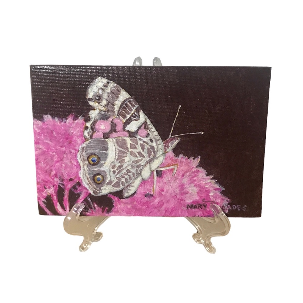 Butterfly Acrylic Painting Original Art 6x4” Thin Canvas & Stand “American Lady”